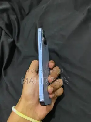 Apple iPhone 13 Pro Max (Used)