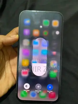 Apple iPhone 13 Pro Max (Used)