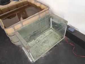 Fish Tank