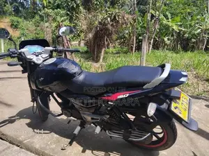 Bajaj Pulsar 150 2010