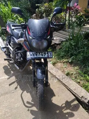 Bajaj Pulsar 150 2010