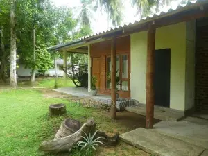 Coconut Estate for Sale Kurunegala
