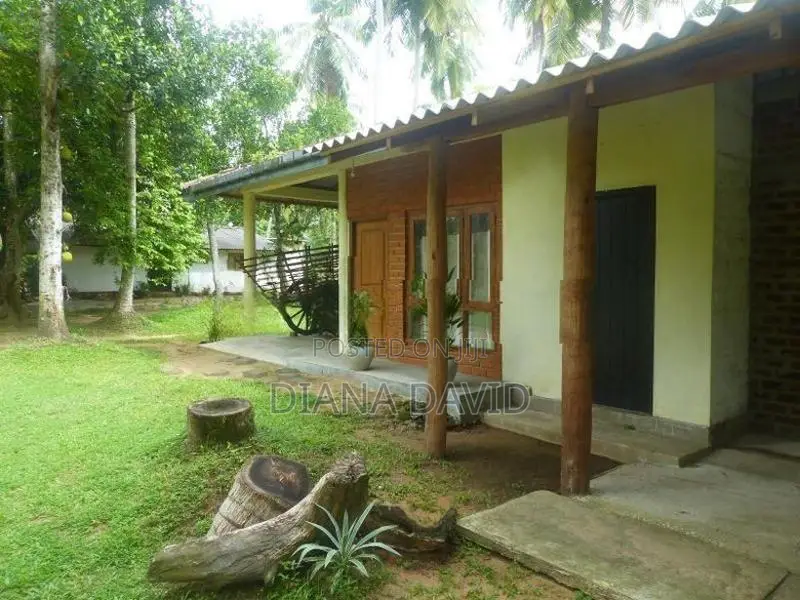 Coconut Estate for Sale Kurunegala
