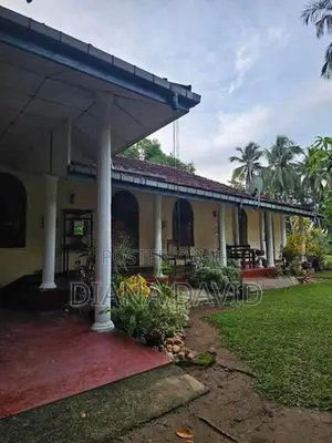 Coconut Estate for Sale Kurunegala