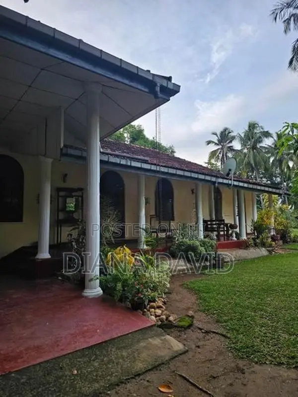 Coconut Estate for Sale Kurunegala