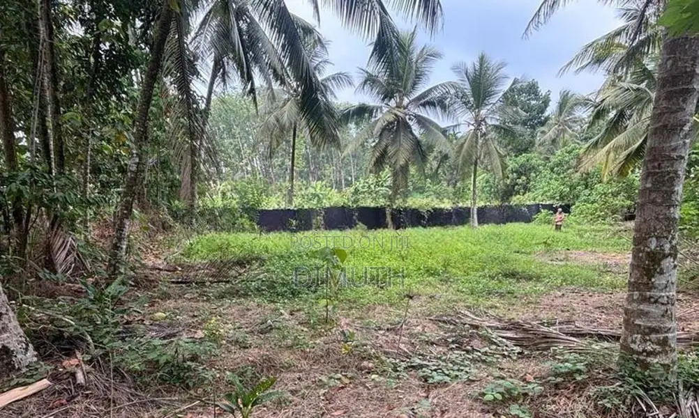 Land for Sale Meegoda