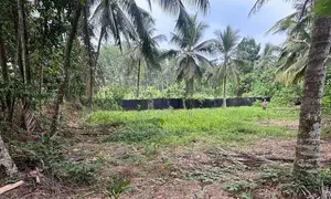 Land for Sale Meegoda