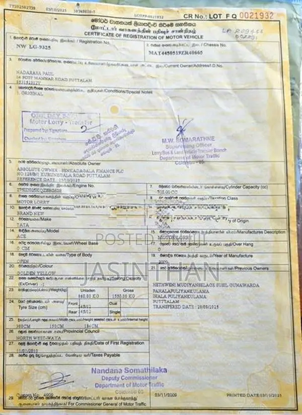 Tata Dimo Batta 2010