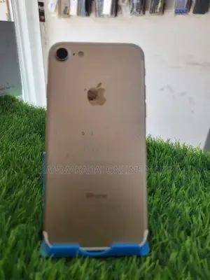 Apple iPhone 7 (Used)