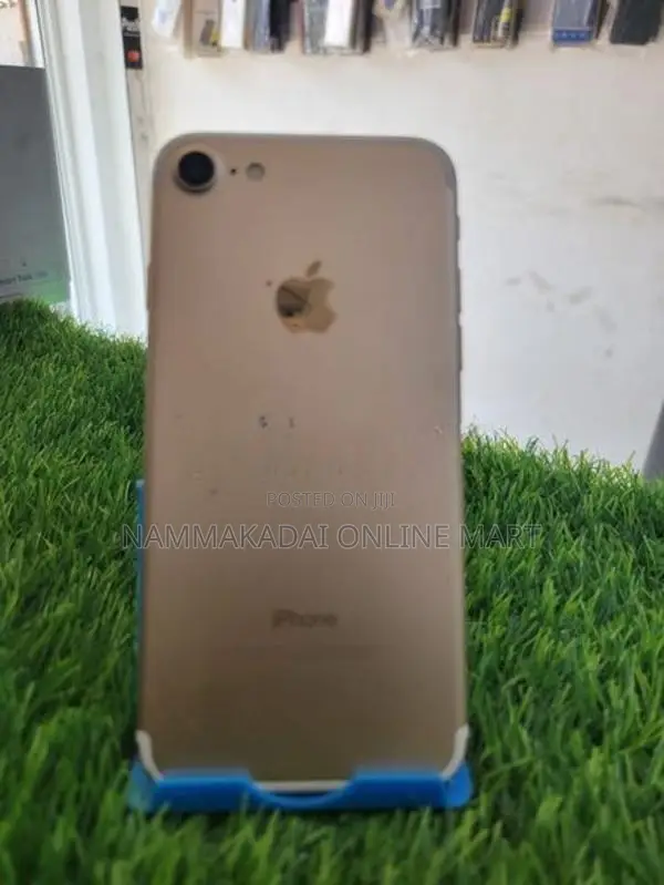 Apple iPhone 7 (Used)