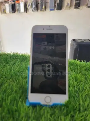Apple iPhone 7 (Used)