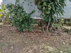 Super Land for Sale Maharagama Town