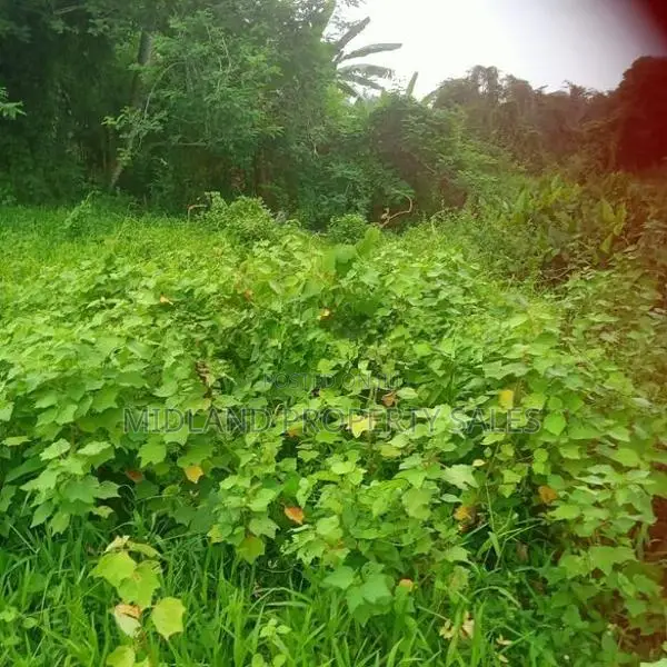 මුතුවාඩිය පාරේ කුස්වලින් පර්චස් 13.5 ඉඩමක්