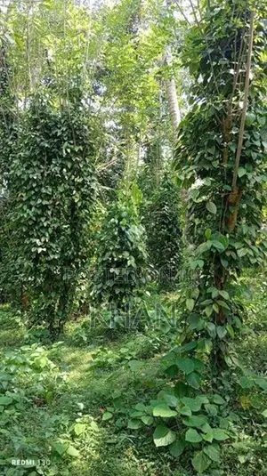 Land for Sale Matale