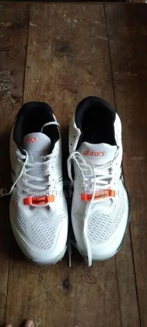 Asics Indoor Shoes
