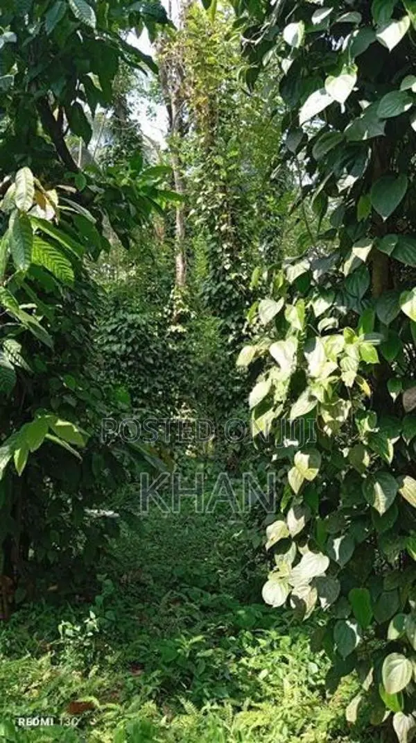 Land for Sale Matale