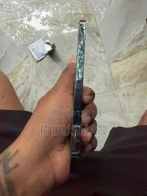 Apple iPhone 12 Pro Max (Used)
