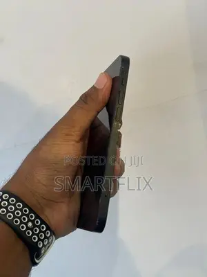 Apple iPhone 12 (Used)