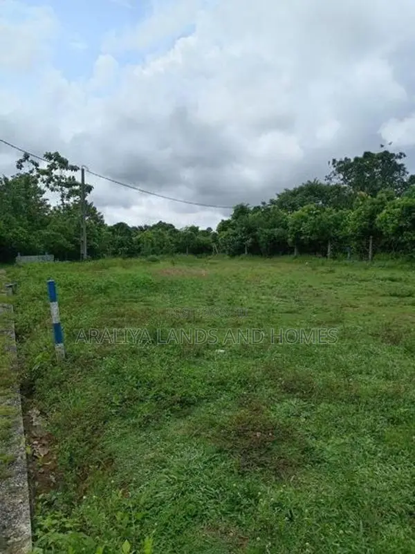 Best Residential Land for Sale in Thalagala Berukatiya