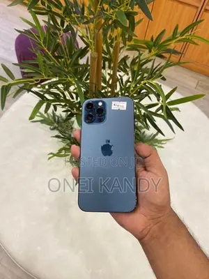 Apple iPhone 12 Pro Max 256GB (Used)