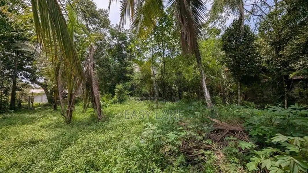ගම්පහ නගරයට ආසන්නයෙන නේවාසික ඉඩමක්