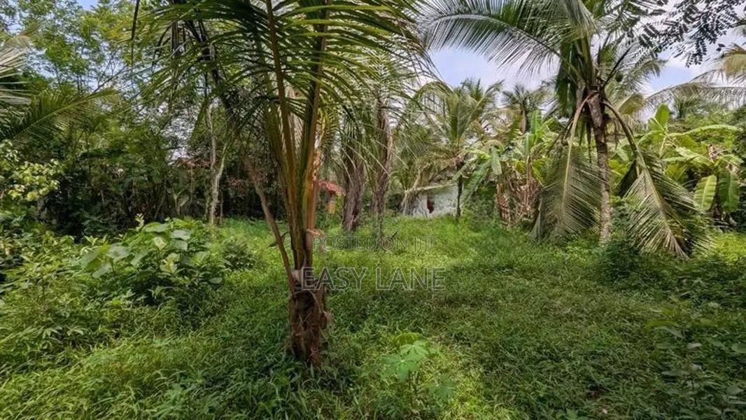 ගම්පහ නගරයට ආසන්නයෙන නේවාසික ඉඩමක්