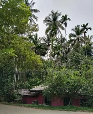 70 Perches Land with Old House for Sale in Badulla