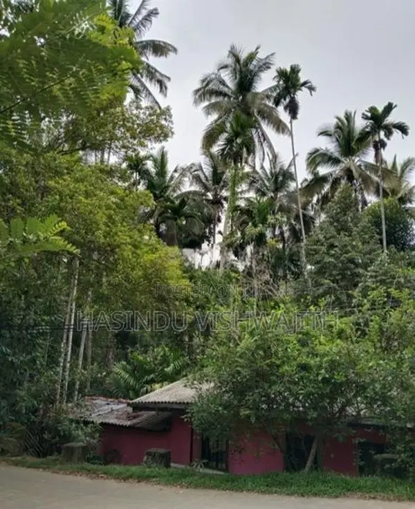 70 Perches Land with Old House for Sale in Badulla