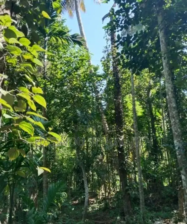 70 Perches Land with Old House for Sale in Badulla
