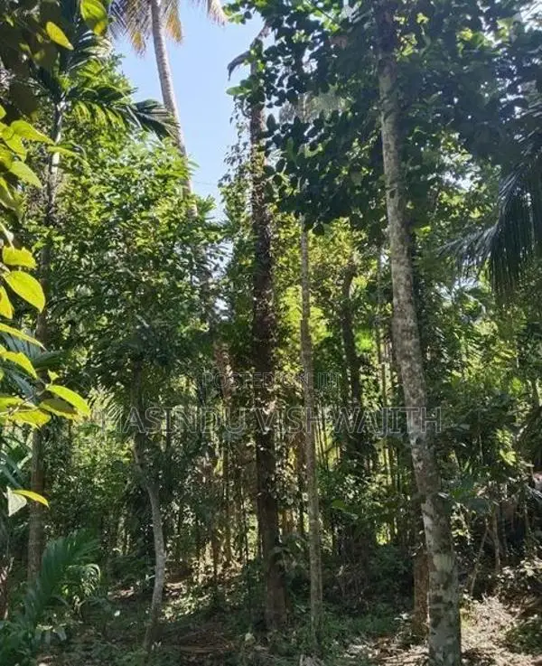 70 Perches Land with Old House for Sale in Badulla