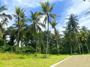 Mirigama නගරය ආසන්නයෙන් වටිනා බිම්කොටසක්