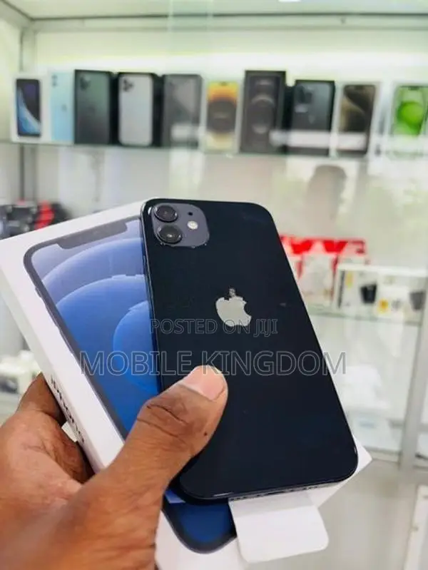 Apple iPhone 12 256GB Black Fullset (Used)