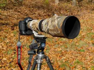 canon / Nikon 400mm Wildlife DSLR lens