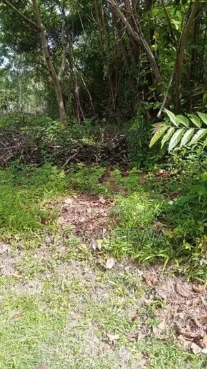 37.8 Perch Land for Sale in Kandawala, Katana