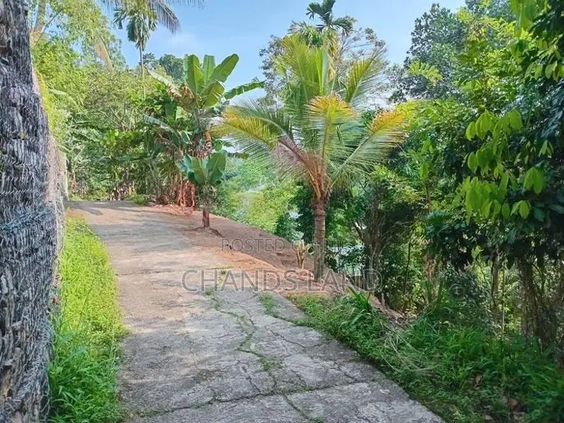 Land for Sale Peradeniya