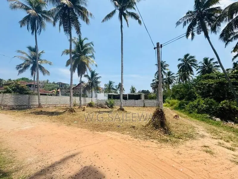 15 Perch Land for Sale in Katuwapitiya