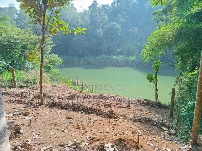 Land for Sale Peradeniya