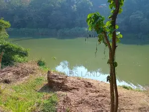 Land for Sale Peradeniya