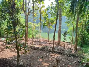 Land for Sale Peradeniya