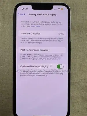 Apple iPhone 13 Pro (Used)