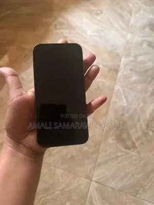 Apple iPhone 13 Pro (Used)