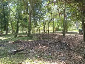 Land for Sale in Kuliyapitiya