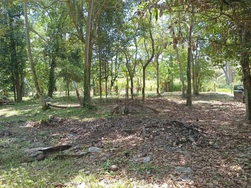 Land for Sale in Kuliyapitiya