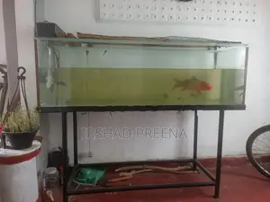 Fish Tank with