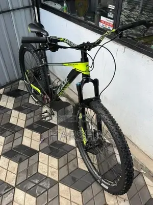 Mountain Bicycle