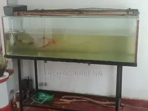 Fish Tank with