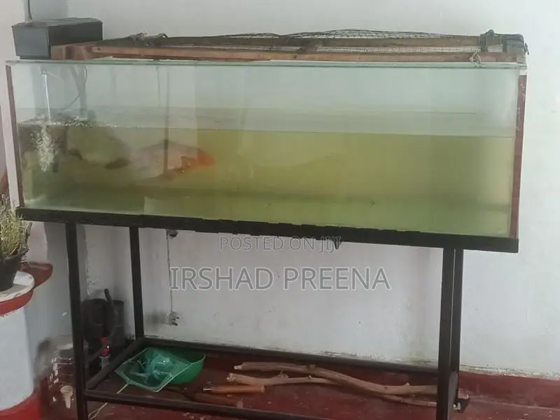 Fish Tank with