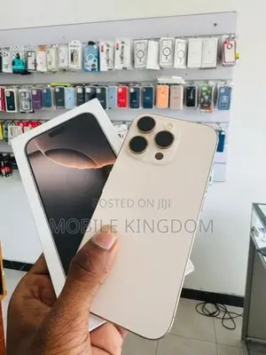 Apple iPhone 16 Pro Max 256GB (Used)
