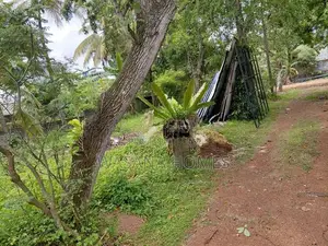 30 Perch Land for Sale Maharagama Town