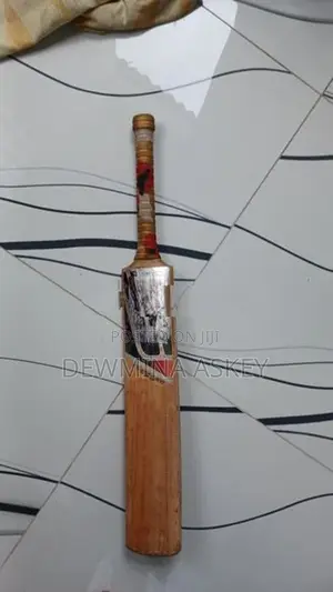 Leather Bat